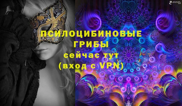 прущие крисы Щучье