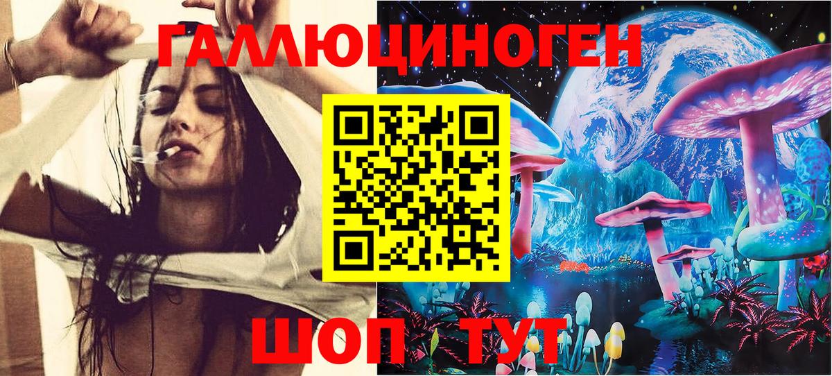 Богородицк  Галлюциногенные грибы Psilocybe  Вход с VPN  Псилоцибиновые грибы мухоморы 