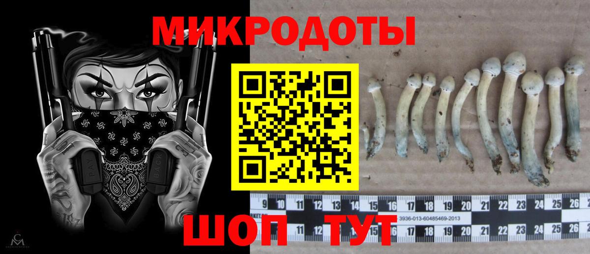 Псилоцибиновые грибы Psilocybine cubensis  Богородицк 