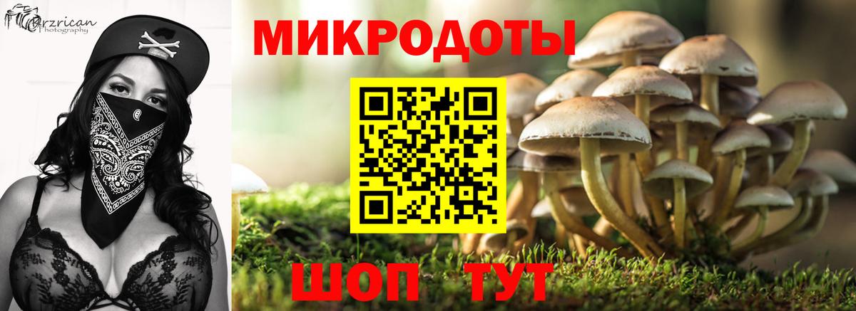 Псилоцибиновые грибы MAGIC MUSHROOMS Богородицк
